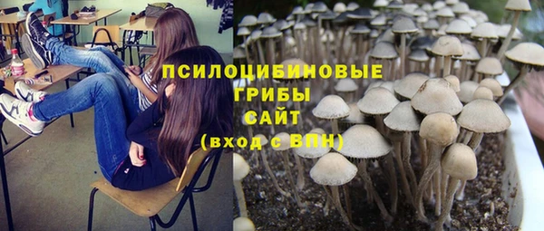 СК Абинск