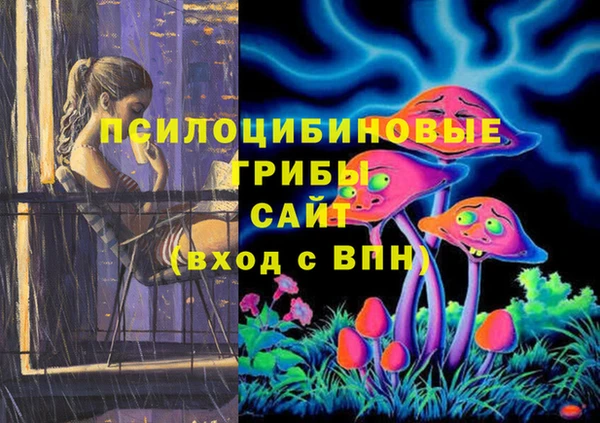 мяу мяу мука Абаза